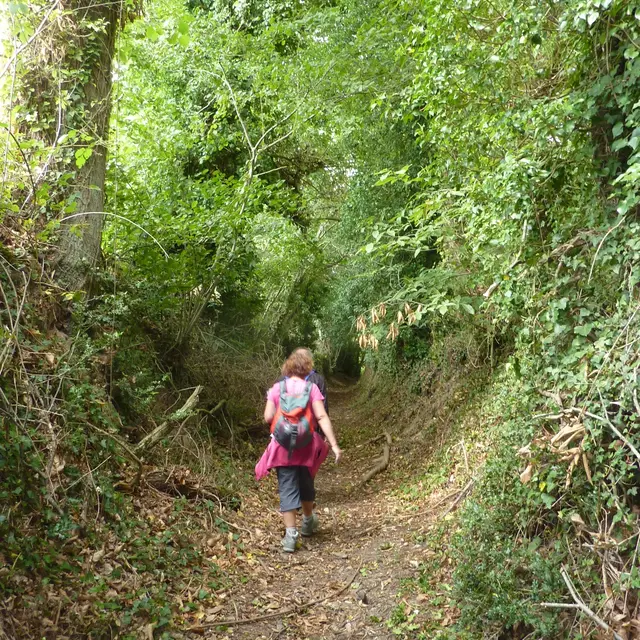 Photo sentier randonneuse