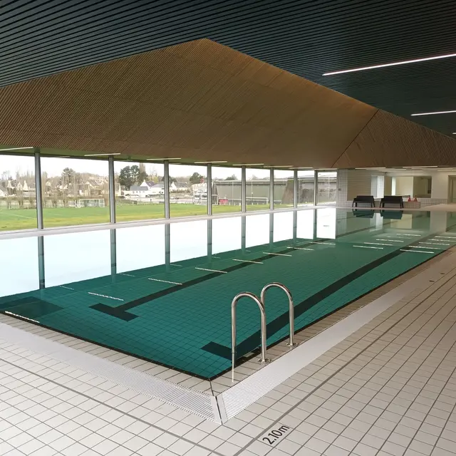 Piscine acorus