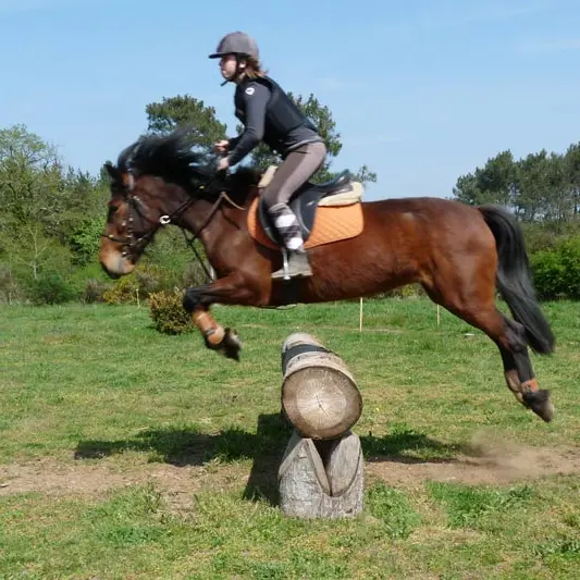 Poney nature