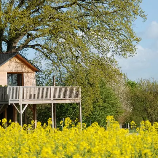 Printemps cabane la bourousais - MAURE DE BRETAGNE