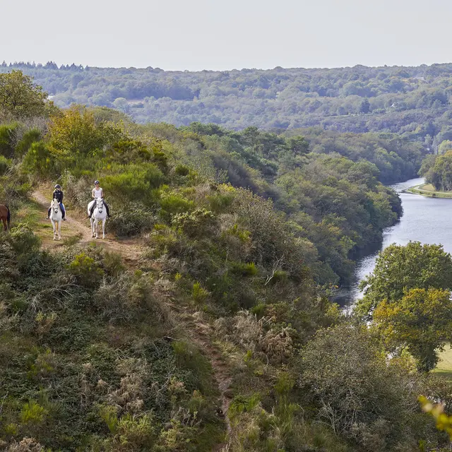 RANDONNEE EQUESTRE 11-10-2023 (18)(1)