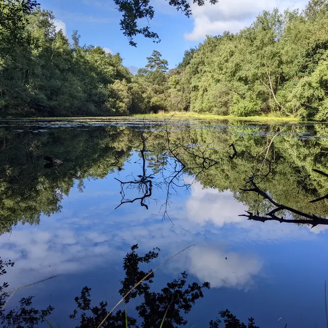 Etang de Carrouët