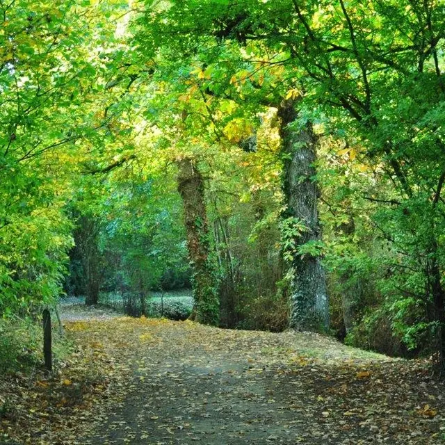 Randonnée pleumeleuc Vaunoise ©Sentiers de la vaunoise (4)