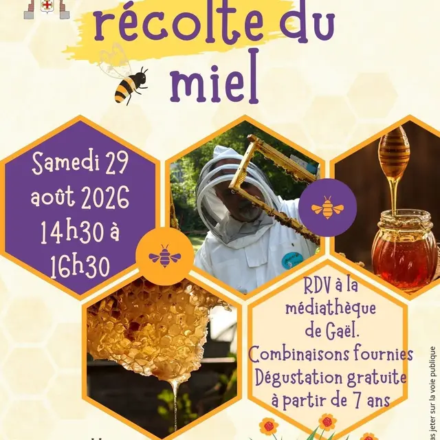 Récolte du Miel à Gaël