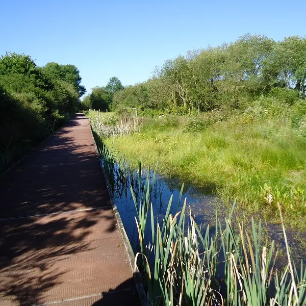Réserve ornithologique de Careil