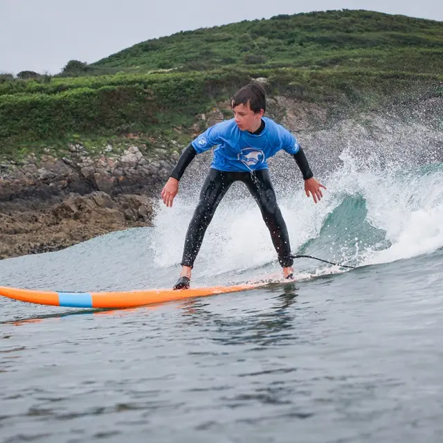 SURF HARMONY (1)