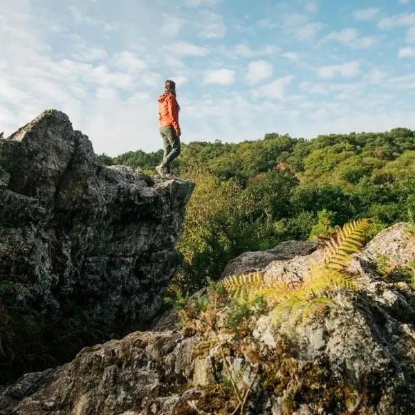 Saut Roland