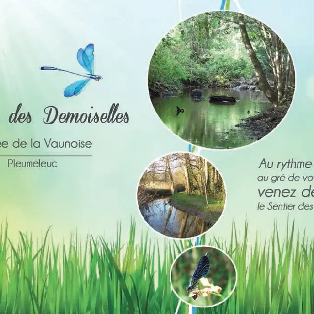 Sentier des demoiselles Pleumeleuc