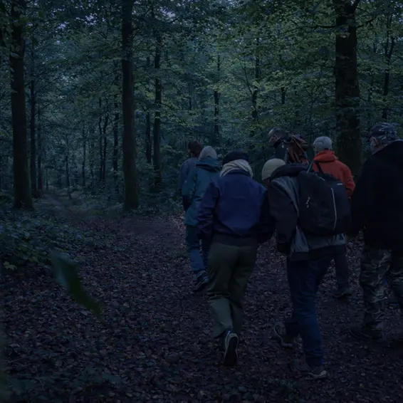 Sortie nocture au bois de la Motte