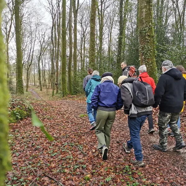 Sortie nature au Bois de la Motte
