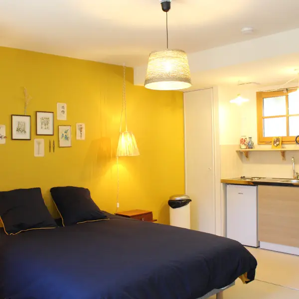 Studio Droit (3)