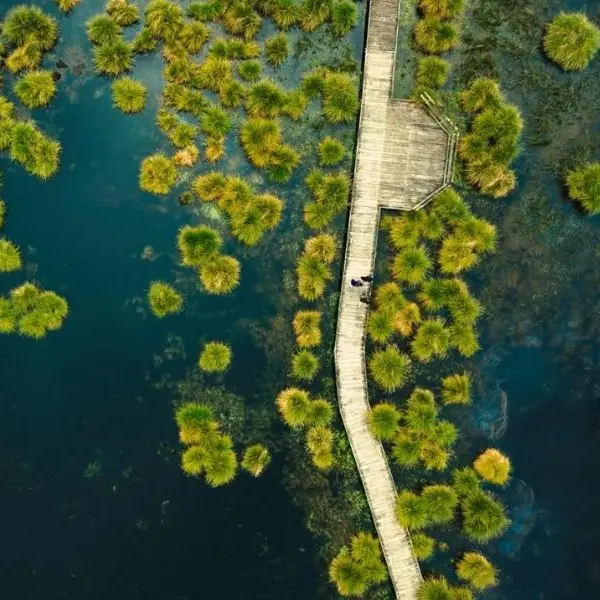 Tourbière de Landemarais