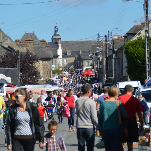 Vide-grenier de Saint-Brice-en-Coglès