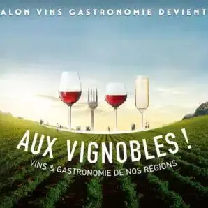 Vignobles
