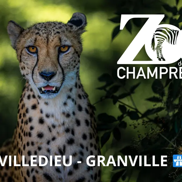 AXE VILLEDIEU - GRANVILLE - 1