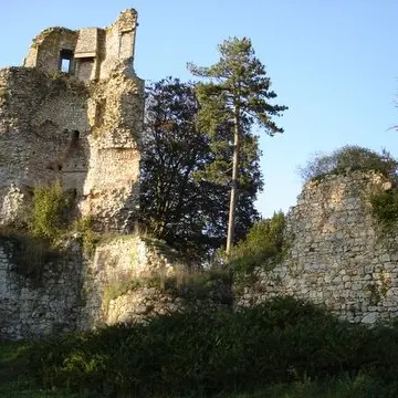 donjonstaubin1