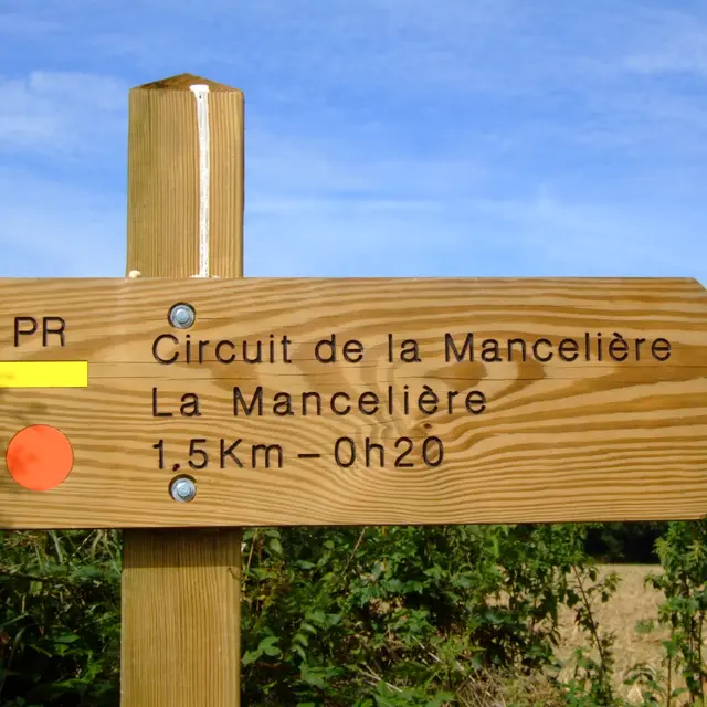 flèche©OT SMBMSM