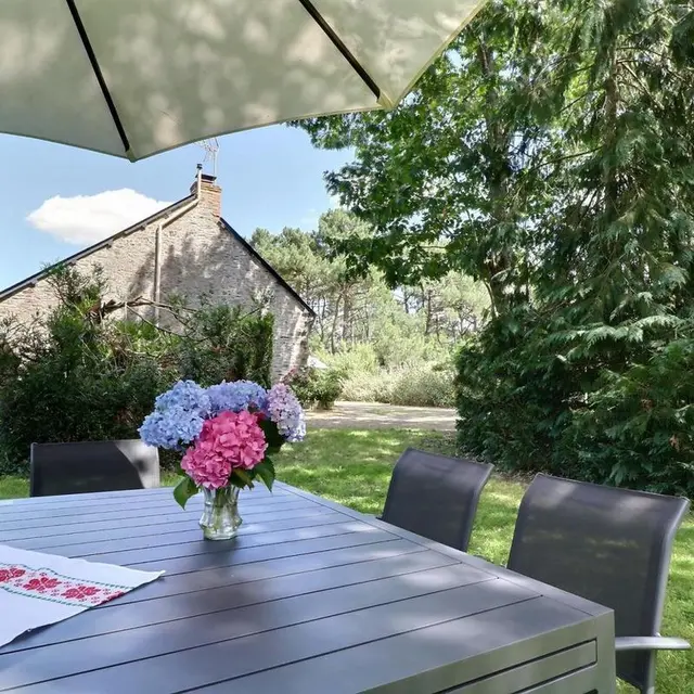 gîte-bel-air-Pancé-copyrightGîtesdeFrance-02