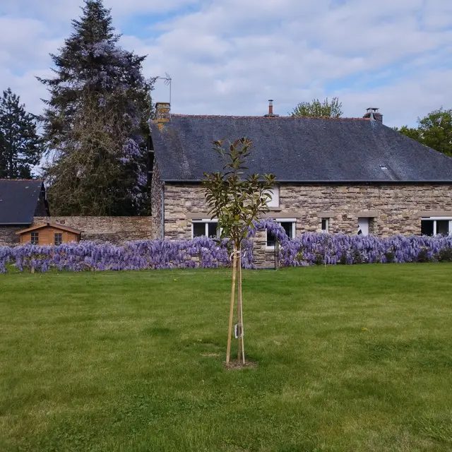 Maison côté jardin