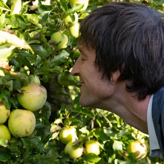 La pomme c'est délicieux