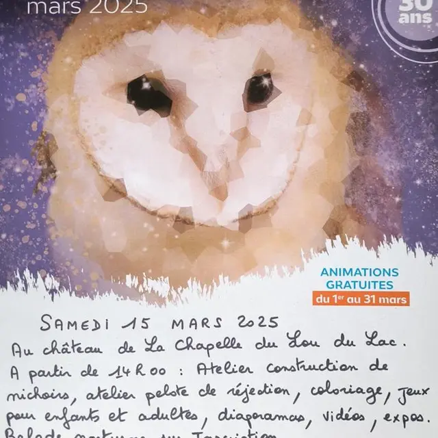 nuit de la chouette