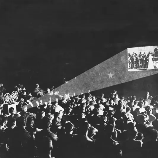visionnage d'un documentaire à l'antre de l'éléphant