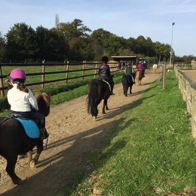 poneys-cook