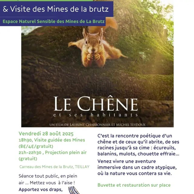 projection plein air ENS_MDLB