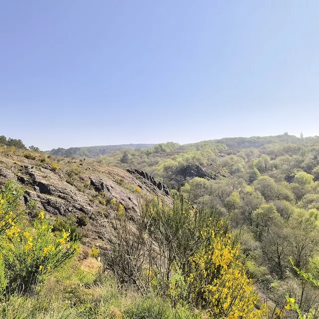 schiste rouge-paimpont-broceliande
