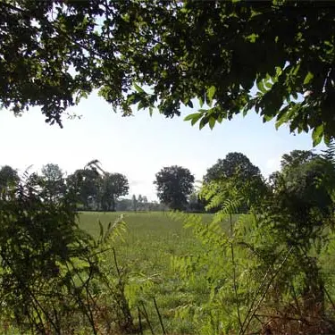 saint-georges-patrimoine-rural