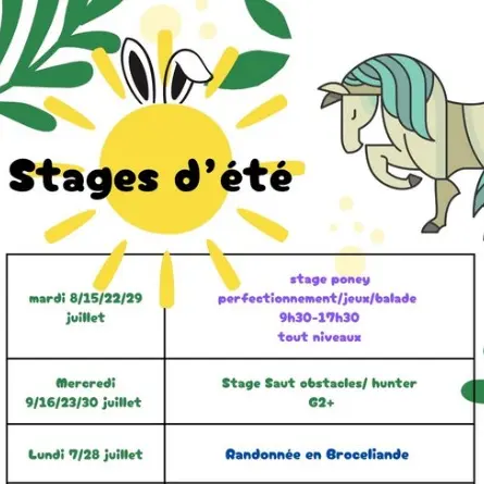 stage d'été écuries des quatre routes iffendic