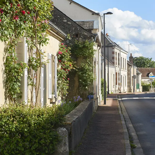 Randonnée à Dame-Marie-les-Bois
