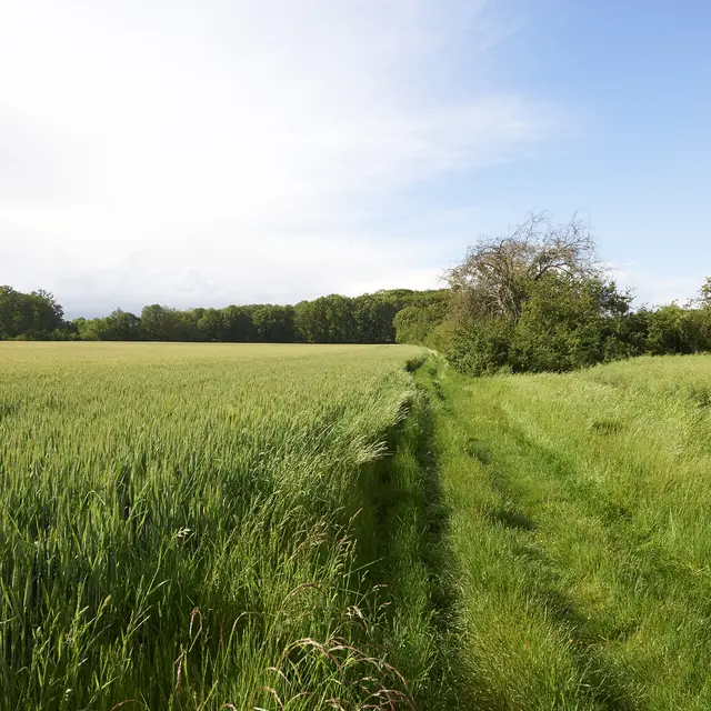 Randonnée à Autrèche