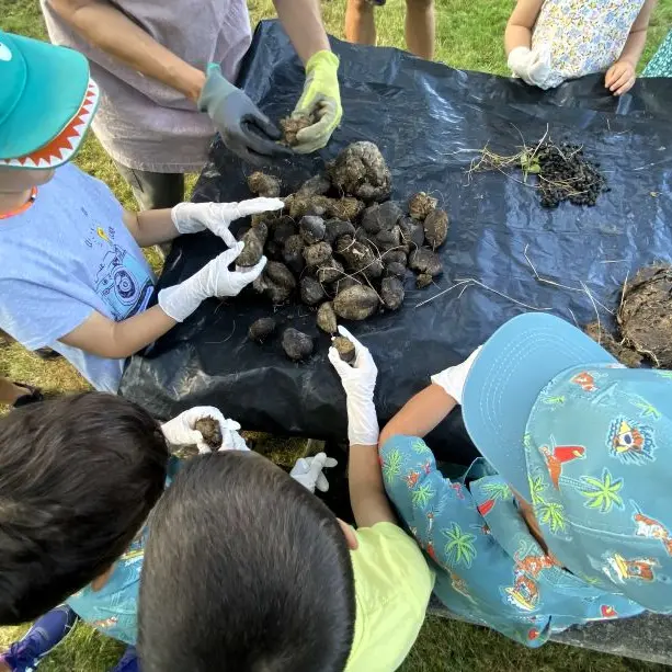 0508 - Crotte alors - © Les musées Chinon Vienne et Loire