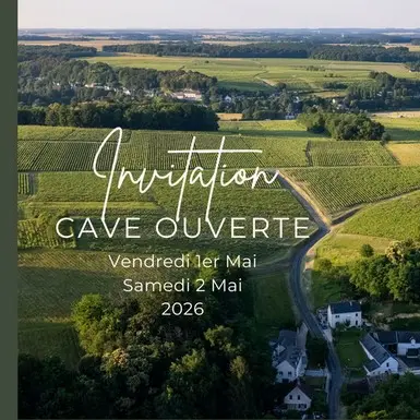 Cave ouverte Vincent Mabille Vernou