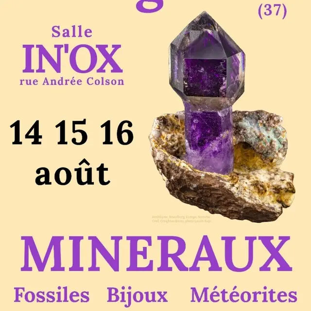 Salon des mineraux