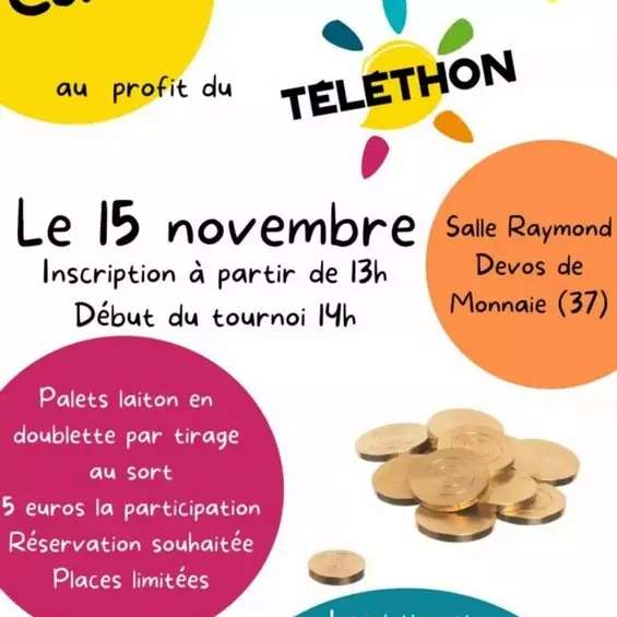 Concours de palets pour le Téléthon à Monnaie