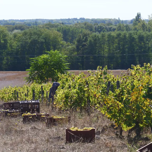 183009-Montoray-51