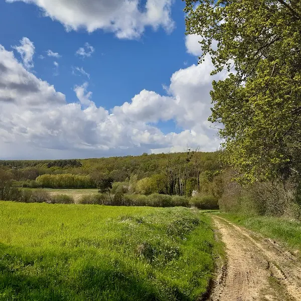 Entre osier et troglos : randonnée de Villaines-les-Rochers.