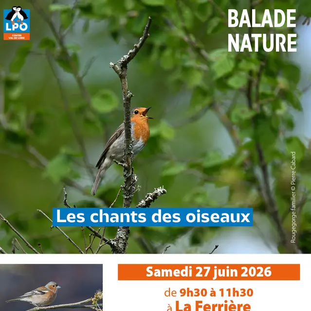 2025_06_27 - Les chants des oiseaux_La Ferrière