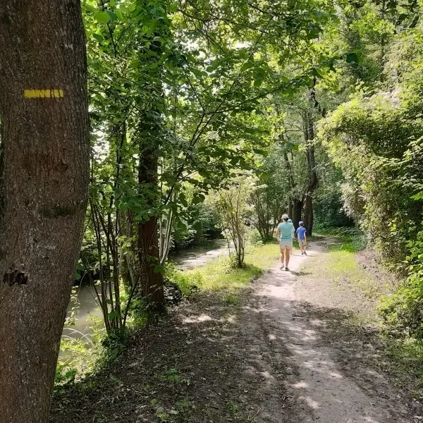 Randonnée pédestre - Espace naturel sensible du Val de Choisille