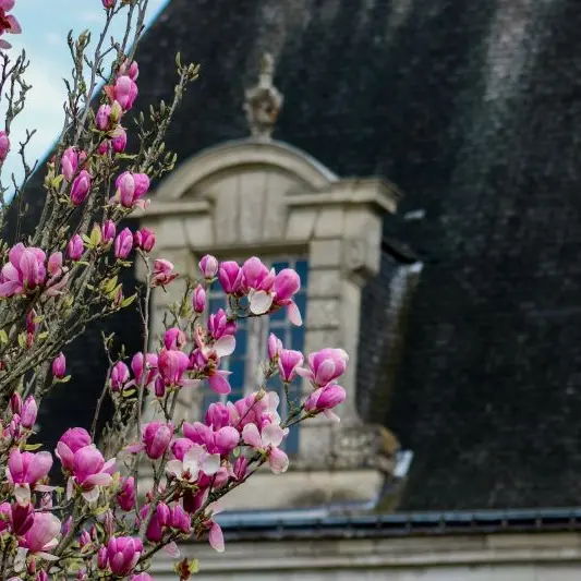 Château d'Azay-Le-Ferron