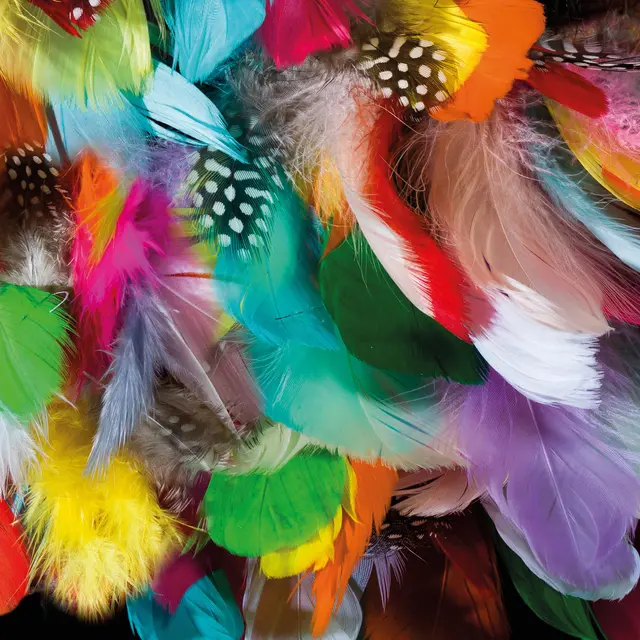 26-03 TU ME RECONNAIS + PÉROKÉ