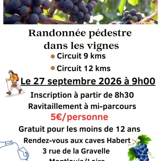 Randonnée pédestre dans les vignes à Montlouis