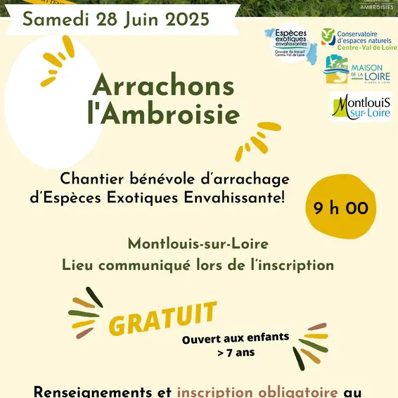 Chantier ambroisie Montlouis