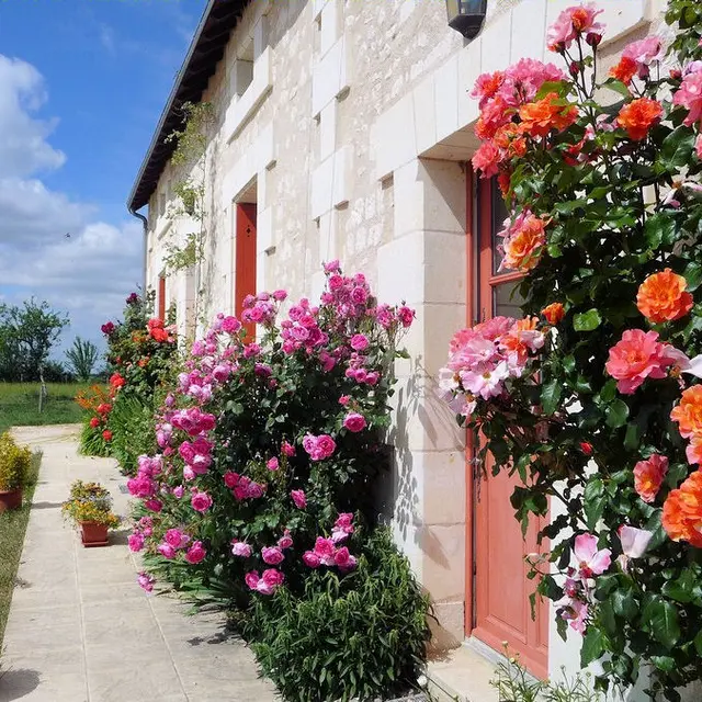 La Cotterie_1