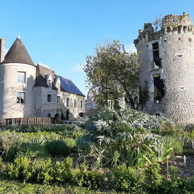 Château de Fontenay_1
