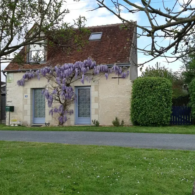 La Glycine_1