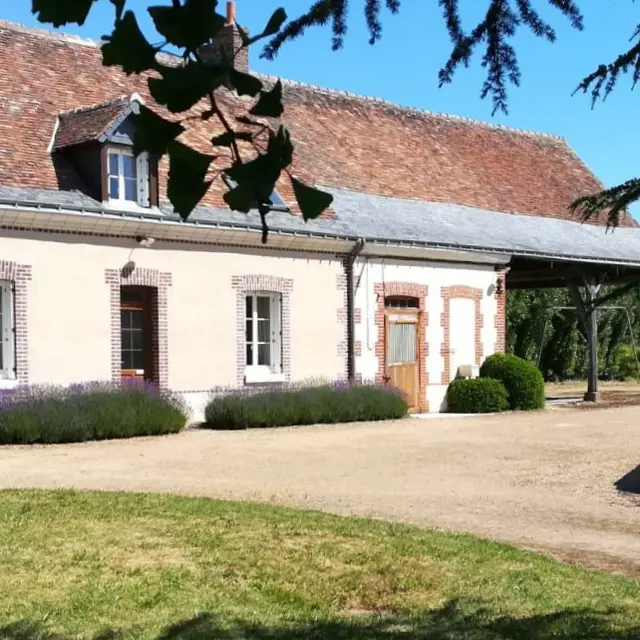La Bûcherie_1