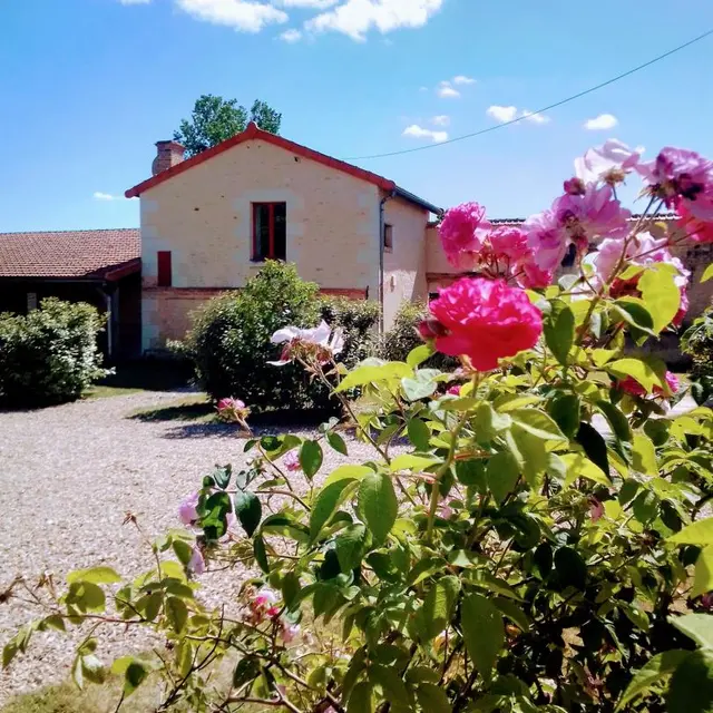 L'Antre des Nains : Jaune et Joyeux_1